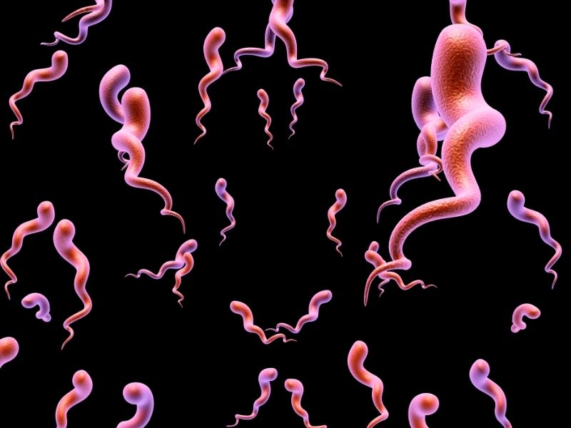 Rapid Syphilis 02
